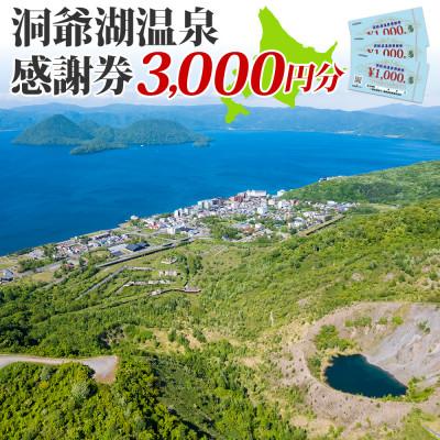 ふるさと納税 洞爺湖町 洞爺湖温泉感謝券 3,000円分 北海道 洞爺湖町