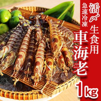 ふるさと納税 久米島町 久米島漁協の活〆冷凍車海老 生食用1kg