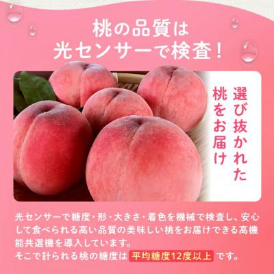 ふるさと納税 山梨市 【2027年 先行受付】 桃 約2kg 5〜6玉 朝もぎ直送! 旬の完熟『桃』選び抜かれた桃 |  | 03