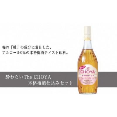 ふるさと納税 羽曳野市 酔わないThe CHOYA 本格梅酒仕込みセット(チョーヤ梅酒)