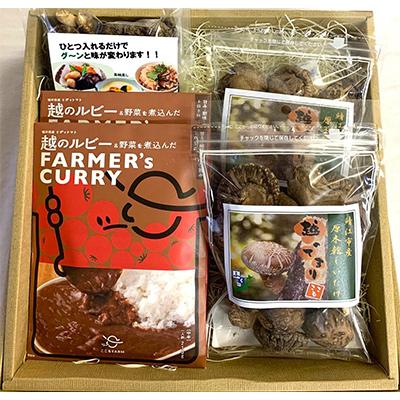 ふるさと納税 鯖江市 鯖江市産原木乾燥椎茸「越のてまり」、越のルビーのトマトカレーセット