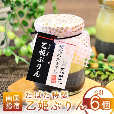 ふるさと納税 指宿市 食彩空間たばた特製!乙姫ぷりん6個入り(A-431)