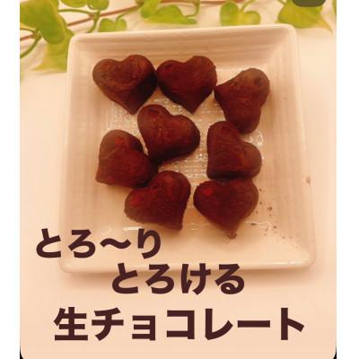 ふるさと納税 河合町 生チョコレート