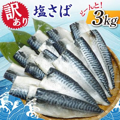 ふるさと納税 神栖市 【訳あり】塩さば　どーんと!3kg | 