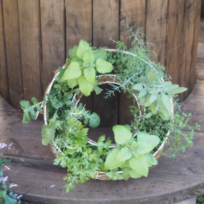 ふるさと納税 朝倉市 ハーブのサークルハンキング(直径35cm)