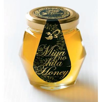 ふるさと納税 雲南市 天然日本ミツバチの「はちみつ」80ml×2 1セット