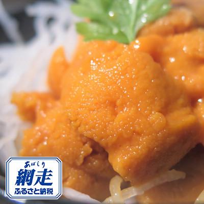 ふるさと納税 網走市 [網走前浜産] 冷凍蝦夷ばふん雲丹 100g