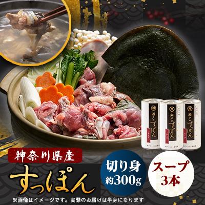 ふるさと納税 山北町 神奈川県産すっぽん鍋(2〜3人前)300g&amp;スープ3本(各180g)セット