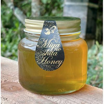 ふるさと納税 雲南市 天然日本ミツバチの「はちみつ」大瓶 400ml