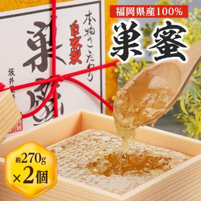 ふるさと納税 大牟田市 国産巣蜜(コムハニー)2個セット | 