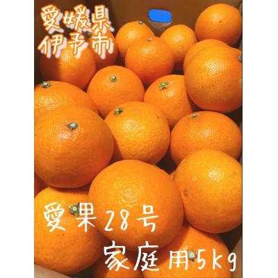 ふるさと納税 伊予市 愛果28号(ハウス栽培)家庭用5kg
