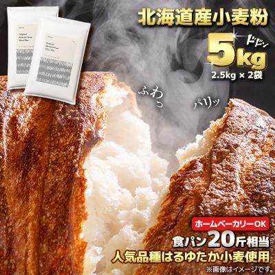 ふるさと納税 室蘭市 北海道産はるゆたかブレンド小麦 シルバーライズ パン用強力粉 5kg(2.5kg×2袋)