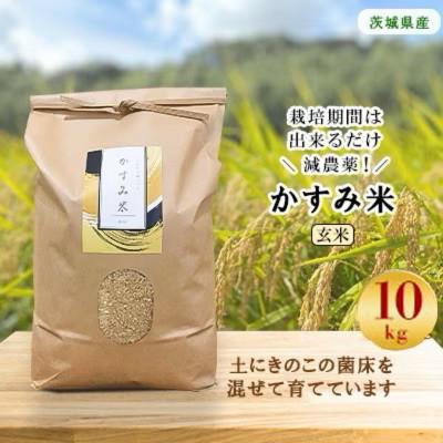 ふるさと納税 潮来市 令和8年産新米 栽培期間出来るだけ農薬を減らして作った「かすみ米」玄米 10kg
