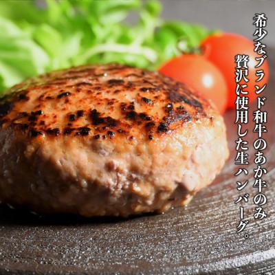 ふるさと納税 宇土市 熊本県産 あか牛100%ハンバーグ　約 1kg |  | 01