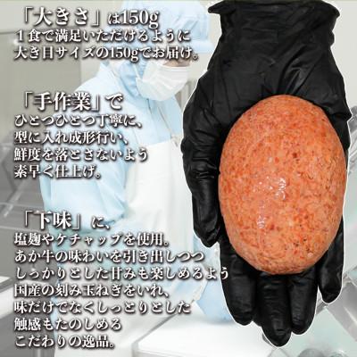 ふるさと納税 宇土市 熊本県産 あか牛100%ハンバーグ　約 1kg |  | 02