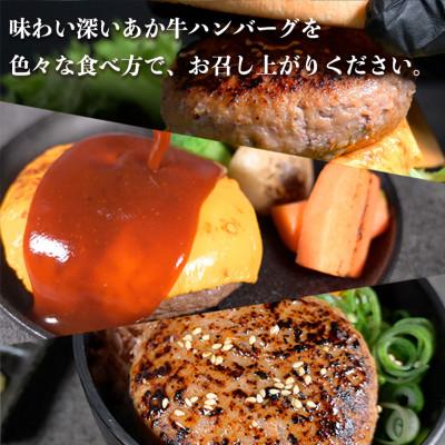 ふるさと納税 宇土市 熊本県産 あか牛100%ハンバーグ　約 1kg |  | 03