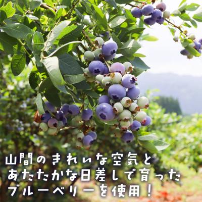 ふるさと納税 柳津町 【山の恵みぎゅっと!】手摘みブルーベリー