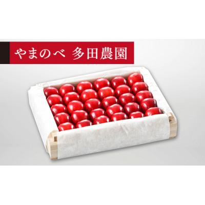 ふるさと納税 山辺町 [先行受付]2026年 山形県産 特選「真夏のルビー紅姫」 桐箱詰約300g