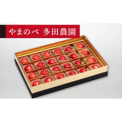 ふるさと納税 山辺町 [先行受付]2026年 山形県産 珠玉ダイアナブライト みやび箱詰24粒