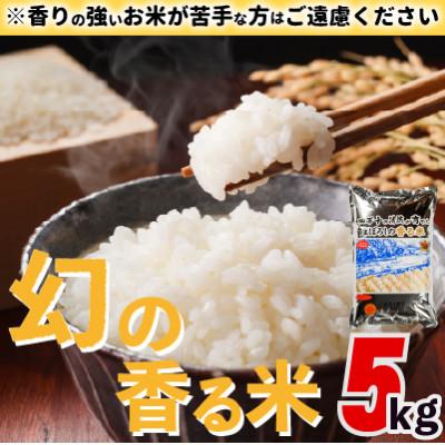 ふるさと納税 四万十町 香ばしい香りに感動!まぼろしの香る米 5kg