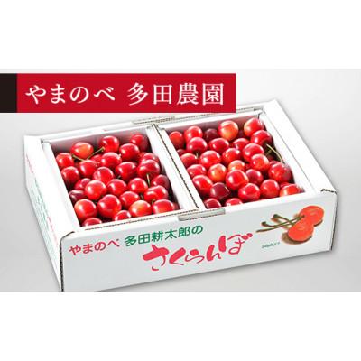 ふるさと納税 山辺町 《先行受付》2027年 山形県産 紅さやか バラ詰(パック)1kg | 