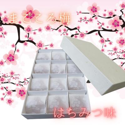 ふるさと納税 白浜町 まごころ梅 5L はちみつ味 個包装12個入り