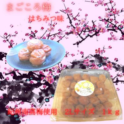 ふるさと納税 白浜町 まごころ梅 2Lサイズ はちみつ味 1kg