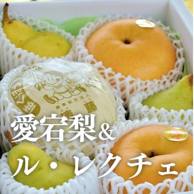 ふるさと納税 真庭市 [きよとうファーム]あたご梨&amp;ル・レクチェ 上級品/5-7玉入(岡山県産)