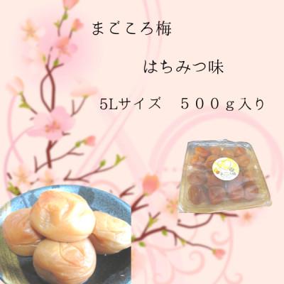 ふるさと納税 白浜町 まごころ梅 5L はちみつ味 500g(塩分8%)