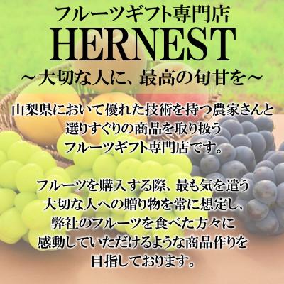ふるさと納税 笛吹市 【先行受付】山梨県笛吹市産 高糖度 旬の採れたて桃【5〜8玉】約2kgの画像