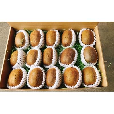 ふるさと納税 市川三郷町 【2026年11月〜順次発送】新鮮!採れたてキウイフルーツ2kg　大小ミックス | 