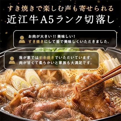 ふるさと納税 近江八幡市 近江牛A5ランク切落し【500g】【高リピート多数】【訳あり】 |  | 02