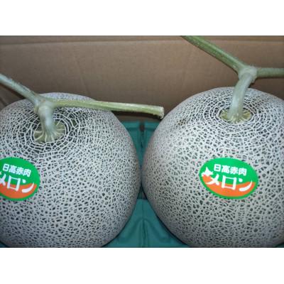 ふるさと納税 日高町 [先行受付]赤肉メロン 2玉入り