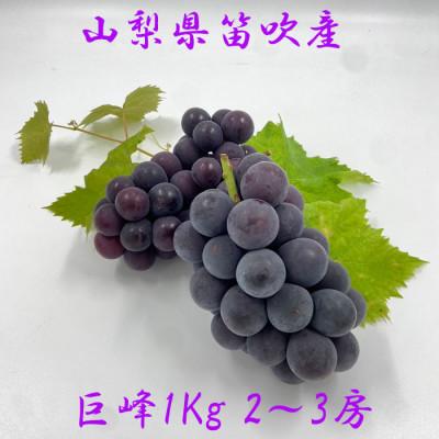 ふるさと納税 笛吹市 [ふるさと納税]2026年先行予約 厳選!山梨県笛吹市産 巨峰 約1.0Kg以上 2〜3房