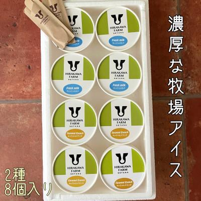ふるさと納税 せたな町 [北海道せたな町産]ひらかわ牧場のしぼりたて生乳で作ったアイスクリーム[牧場おすすめの2種8個入り]