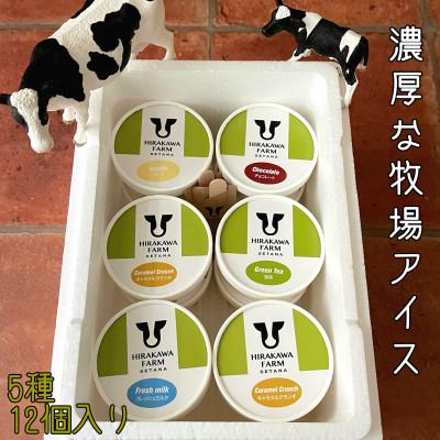 ふるさと納税 せたな町 [北海道せたな町産]ひらかわ牧場のしぼりたて生乳で作ったアイスクリーム[定番の5種12個入り]