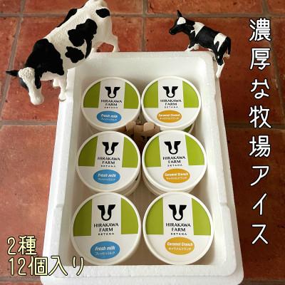 ふるさと納税 せたな町 [北海道せたな町産]ひらかわ牧場のしぼりたて生乳で作ったアイスクリーム[牧場おすすめ2種12個入り]