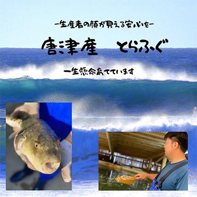 ふるさと納税 唐津市 唐津産 とらふぐてっさと切り身の贅沢食べ比べ! 24人前_3