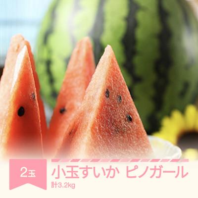 ふるさと納税 村山市 令和8年産 すいか ピノガール 小玉2玉(計3.2kg)
