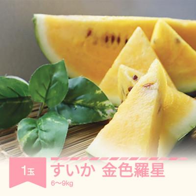 ふるさと納税 村山市 令和8年産 すいか 金色羅皇1玉6〜9kg