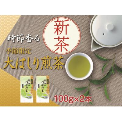 ふるさと納税 川根本町 坂本園の新茶 静岡川根茶大走り新茶100g×2本[5月上旬〜6月末発送]