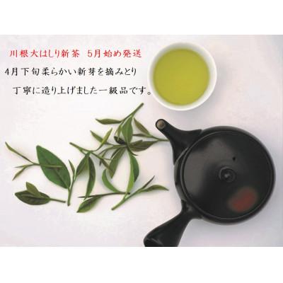 ふるさと納税 川根本町 坂本園の新茶 静岡川根茶大走り新茶100g×6本【5月上旬〜6月末発送】の画像