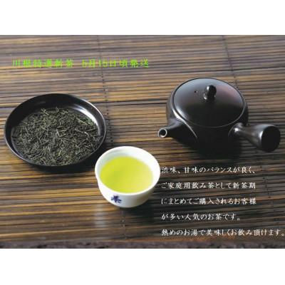 ふるさと納税 川根本町 坂本園の新茶 静岡川根茶 100g×15本【5月中旬〜6月末発送】の画像