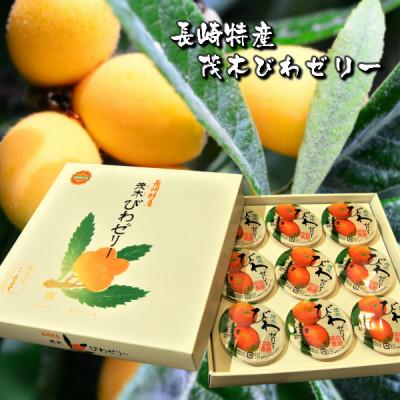 ふるさと納税 長崎市 長崎特産 茂木びわゼリー9個入