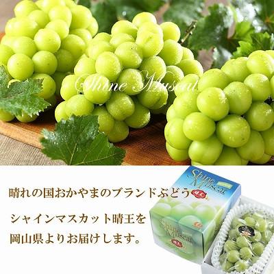 ふるさと納税 岡山市 【2026年8月下旬より発送】岡山県産 シャイン