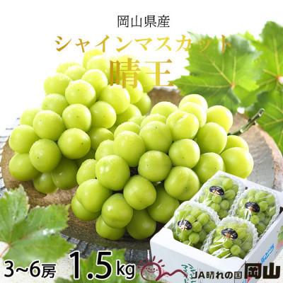 ふるさと納税 岡山市 [2025年8月下旬より発送]岡山県産 シャインマスカット 晴王 1.5kg(3房〜6房)