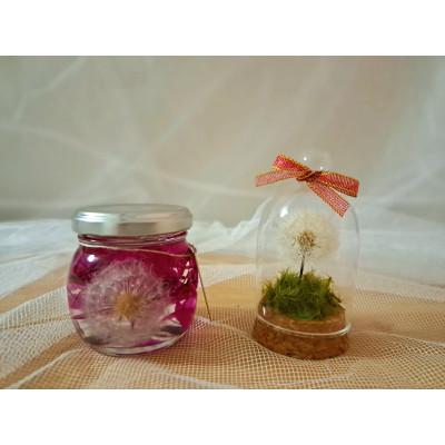 ふるさと納税 幸手市 たんぽぽハーバリウム&amp;ガラスドーム