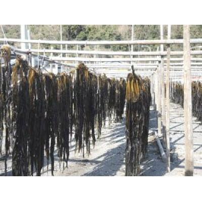 ふるさと納税 由良町 【先行予約】紀州衣奈産乾燥わかめ　150g×3パック(2027年産) |  | 01