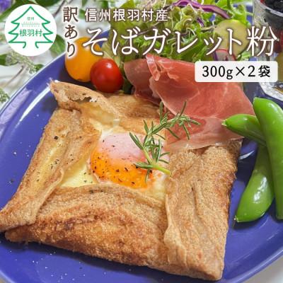 ふるさと納税 根羽村 訳あり! 信州根羽村産 そばガレット粉 600g (300g×2袋)