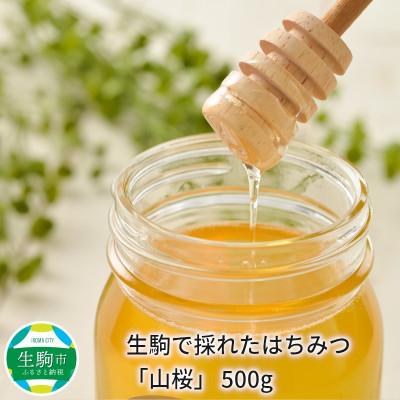 ふるさと納税 生駒市 生駒で採れた蜂蜜「山桜」500g